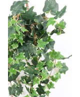 Artificial DUTCH IVY