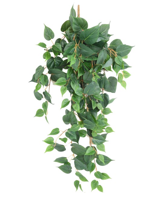 Kunstlikud POTHOS