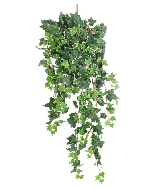 Artificial DUTCH IVY