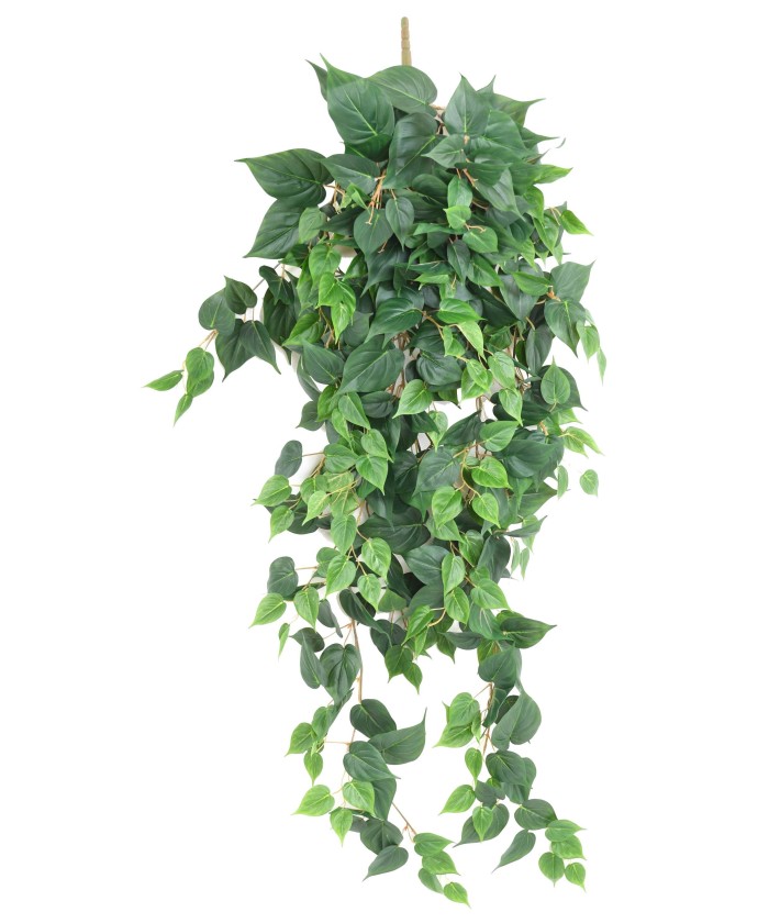 Kunstlikud POTHOS
