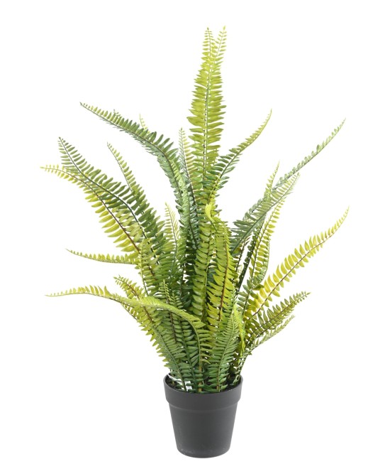 Kunstlik BOSTON FERN plast 75
