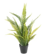 Kunstlik BOSTON FERN plast 75