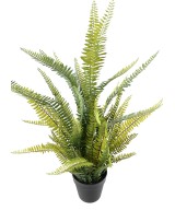 Kunstlik BOSTON FERN plast 75
