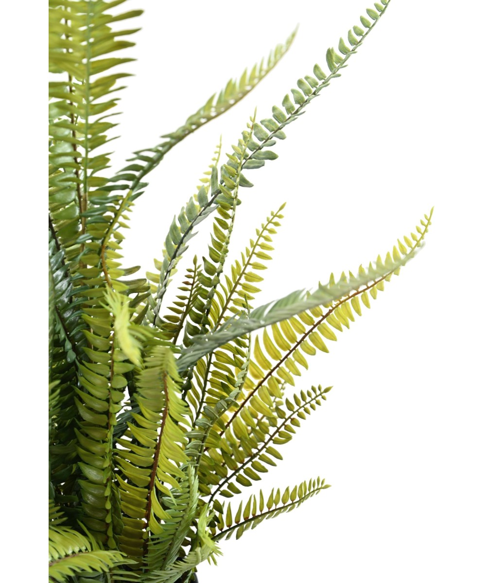 Kunstlik BOSTON FERN plast 75