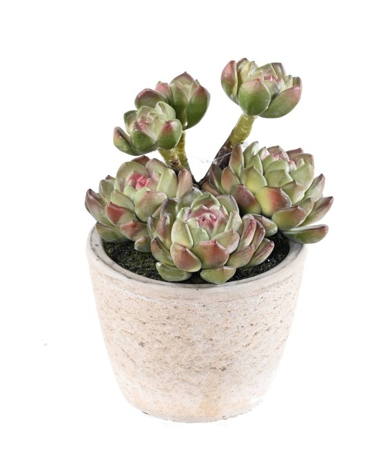 Artificial SUCCULENT 18 IN POT
