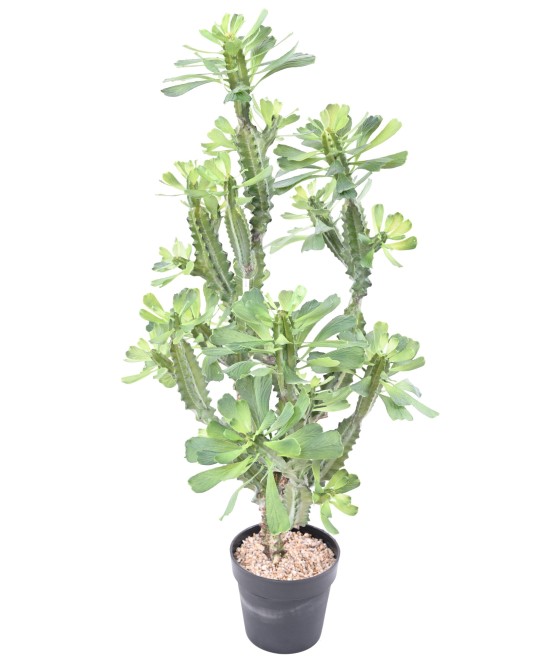 Kunstlik EUPHORBIA LACTEA 110