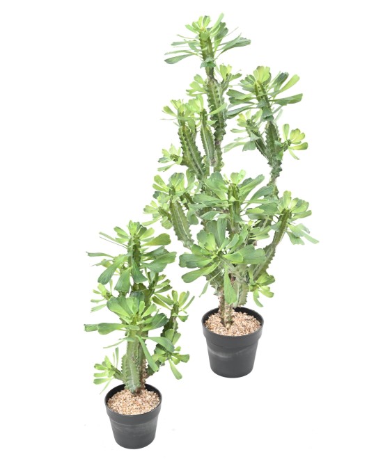 Kunstlik EUPHORBIA LACTEA 110
