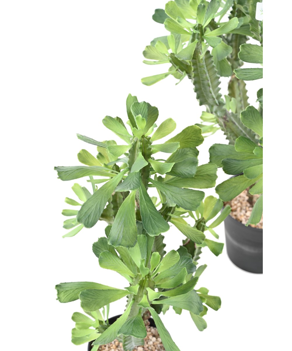 Artificial EUPHORBIA LACTEA 110