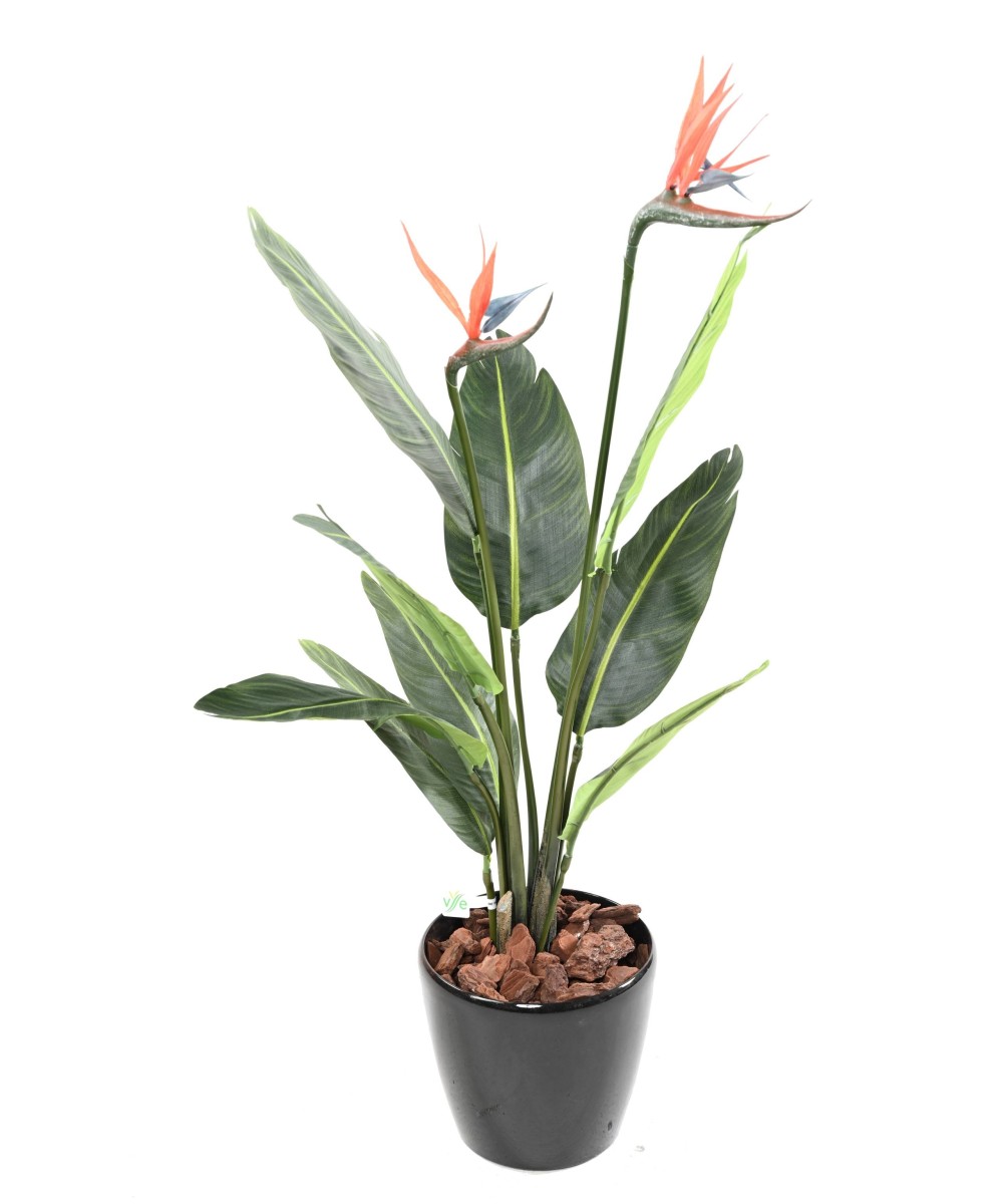 Kunstparadiisilinnulill (Paradiisilind) 9L 2Fl
