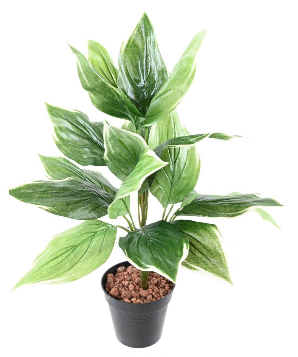 Kunstlik HOSTA *18