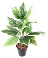 Kunstlik HOSTA *18
