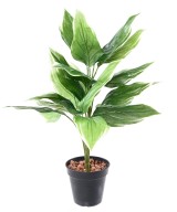 Kunstlik HOSTA *18