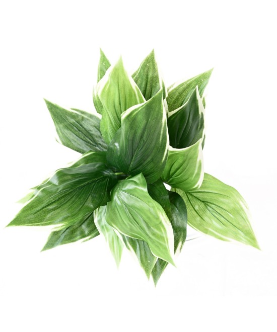 Kunstlik HOSTA *18