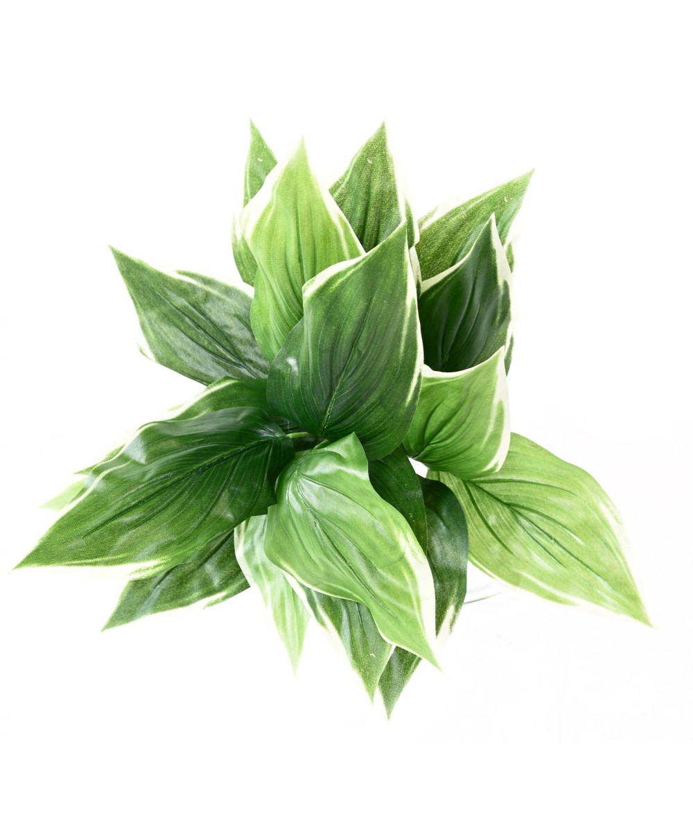 Kunstlik HOSTA *18