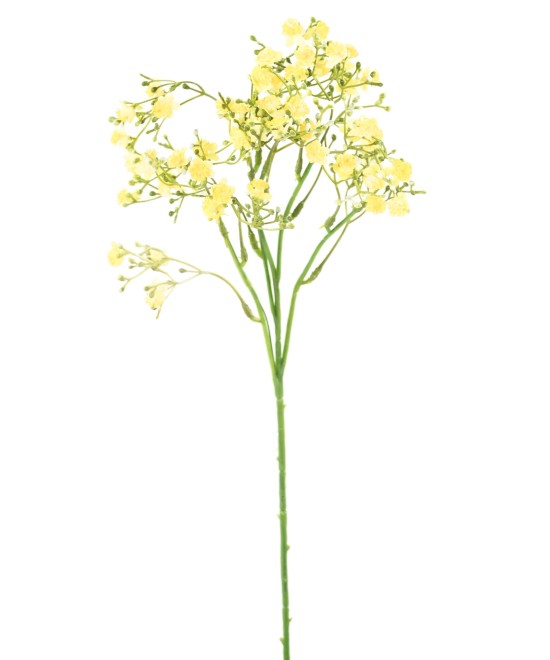 Kunstlik MINI-MÜOSOOTIS