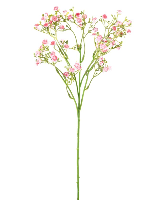 Kunstlik MINI-MÜOSOOTIS