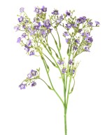Kunstlik MINI-MÜOSOOTIS