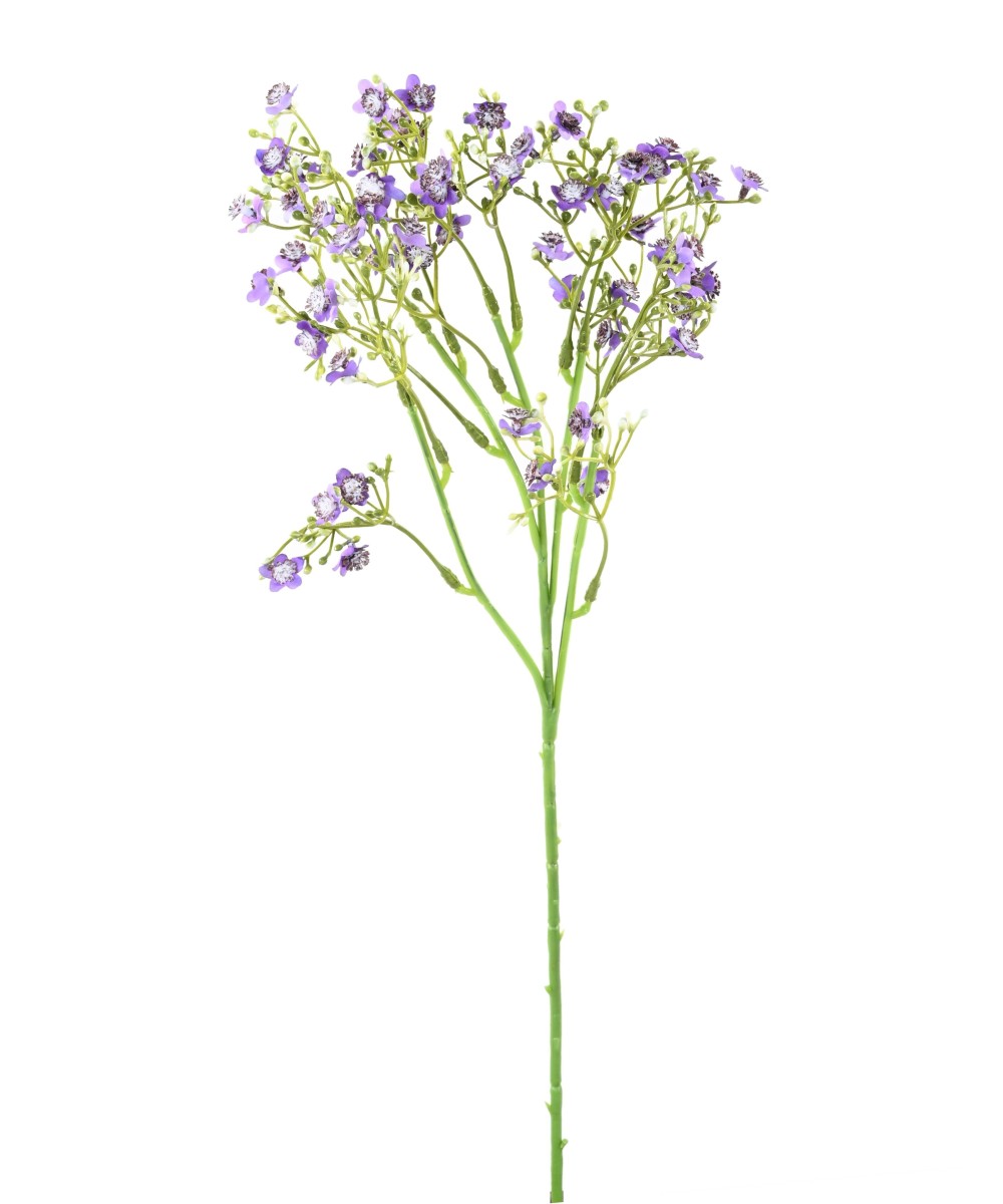 Kunstlik MINI-MÜOSOOTIS