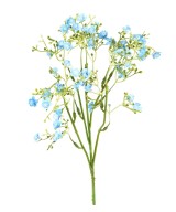 Kunstlik MINI-MÜOSOOTIS