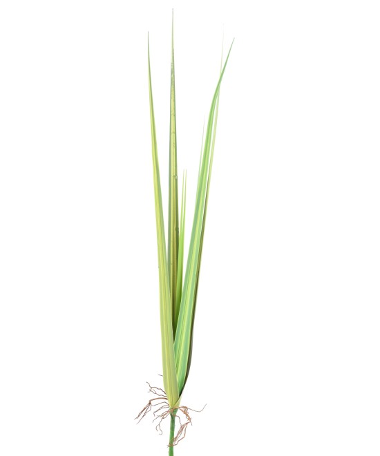 Kunstlikud DRACEAENA LEHED