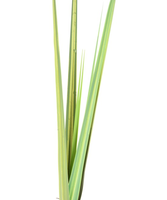 Kunstlikud DRACEAENA LEHED