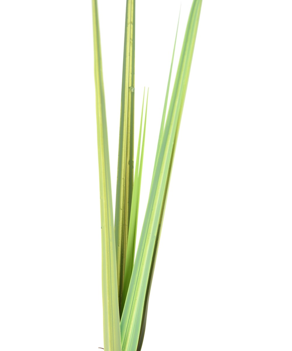 Kunstlikud DRACEAENA LEHED