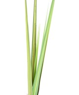 Kunstlikud DRACEAENA LEHED