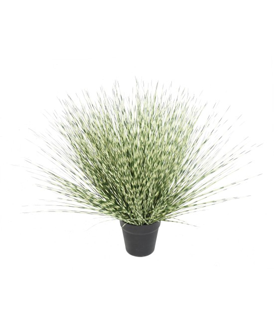 Kunstlik ümmargune Miscanthus Zebrina 55
