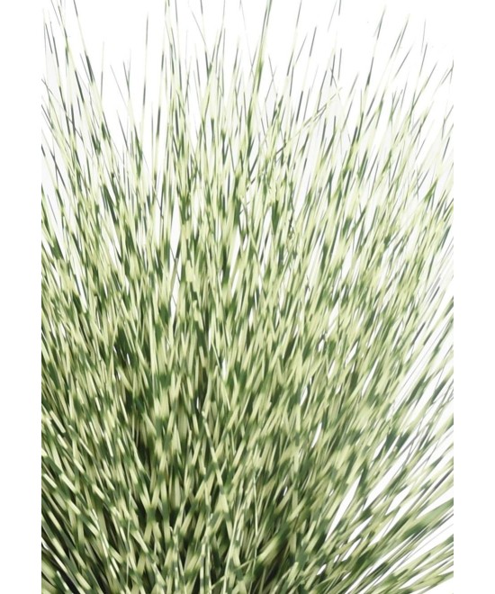 Artificial ROUND MISCANTHUS ZEBRINA 55