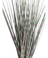 Artificial MISCANTHUS ZEBRINA