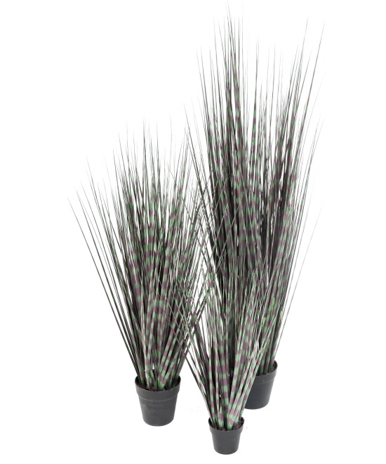 Kunstlik MISCANTHUS ZEBRINA