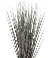 Artificial MISCANTHUS ZEBRINA