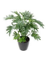 Artificial PHILODENDRON SELLOUM