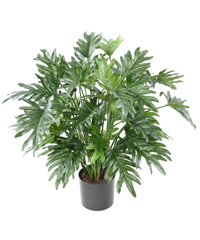 Kunstlik filodendron selluum