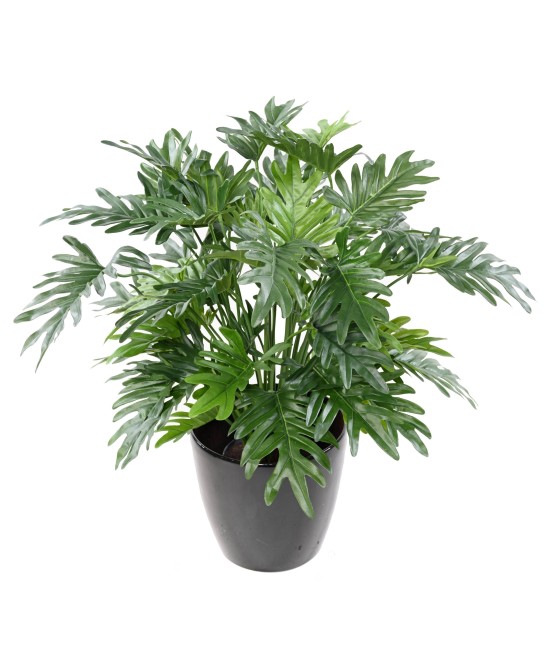 Kunstlik filodendron selluum