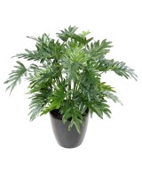 Kunstlik filodendron selluum