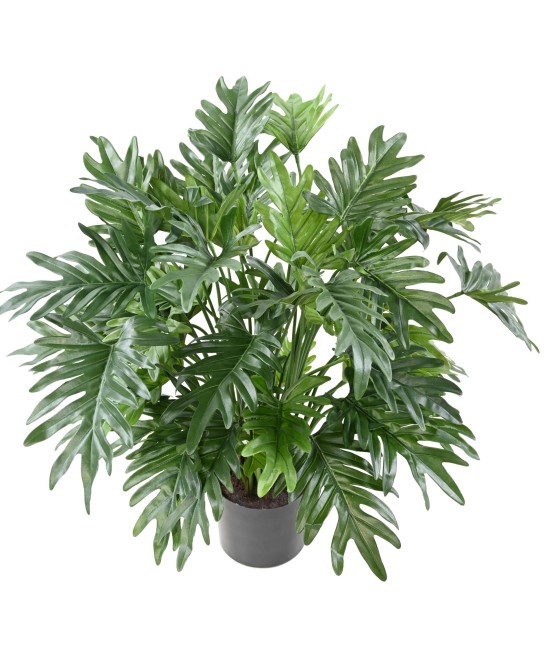 Kunstlik filodendron selluum