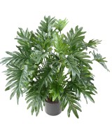 Kunstlik filodendron selluum