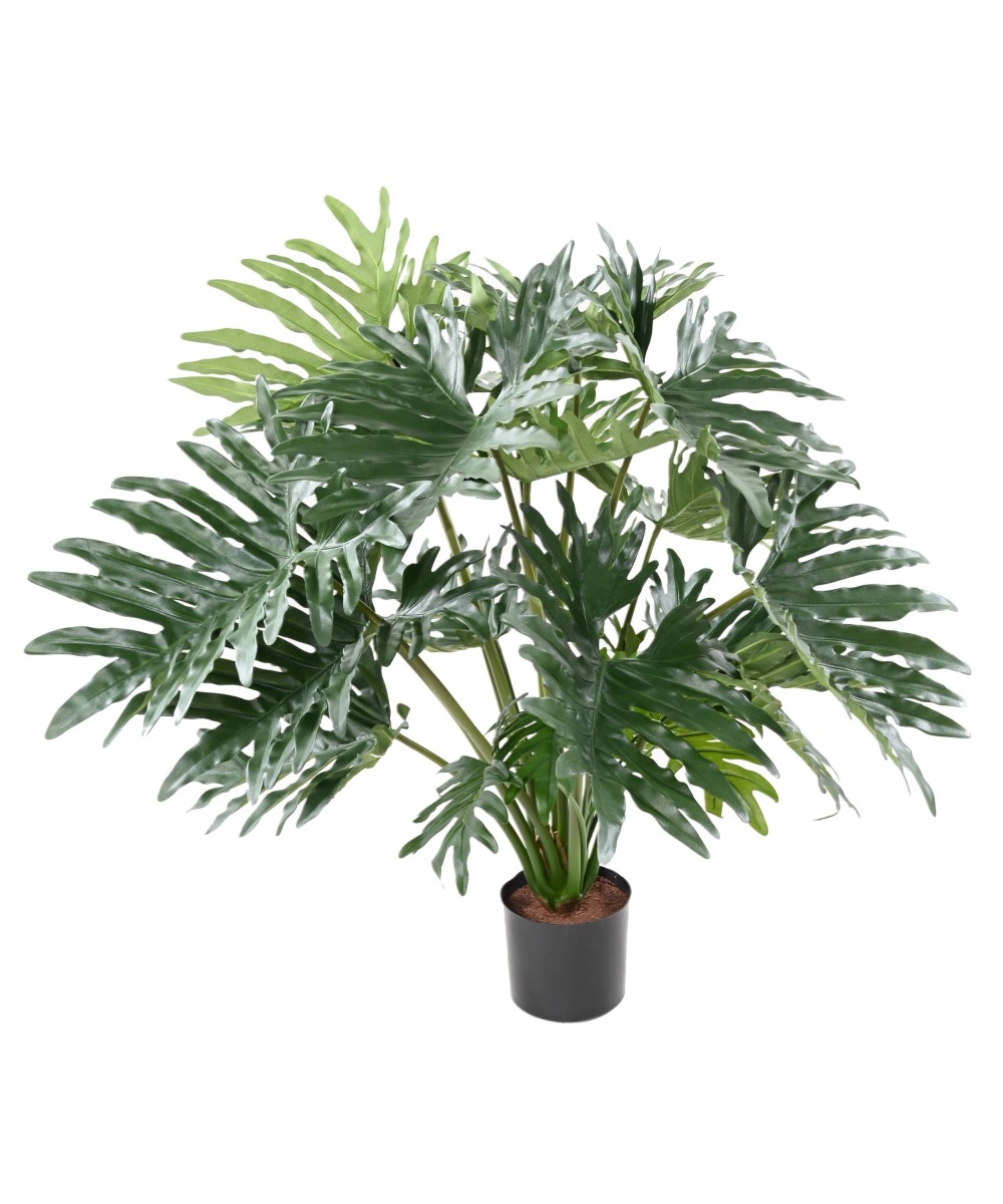 Kunstlik filodendron selluum