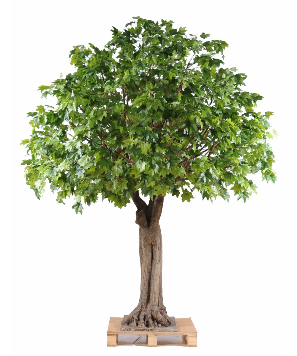 Artificial plane TREE