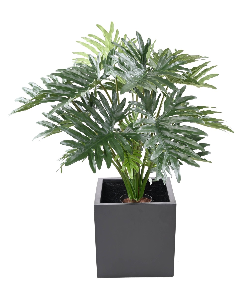 Kunstlik filodendron selluum