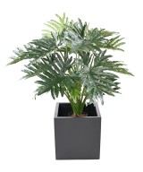 Kunstlik filodendron selluum