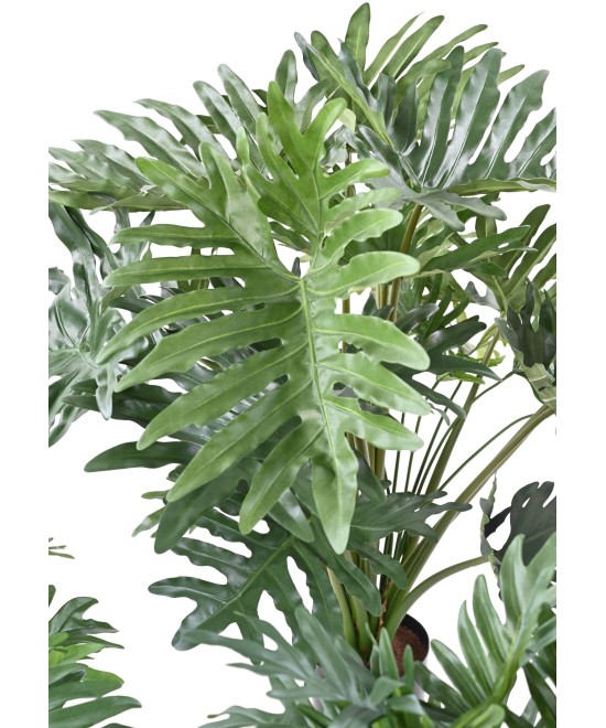 Kunstlik filodendron selluum