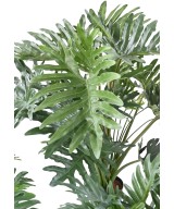 Kunstlik filodendron selluum