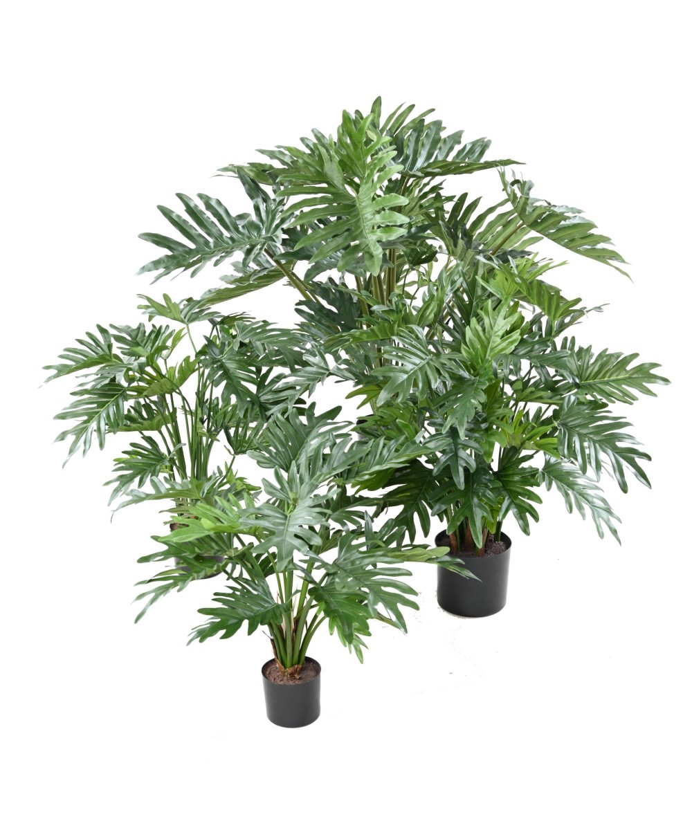 Kunstlik filodendron selluum