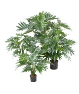 Kunstlik filodendron selluum