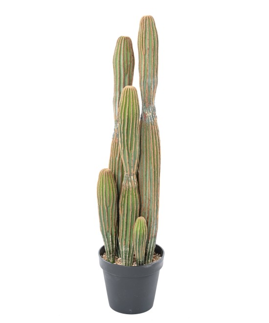 Artificial FINGER CACTUS X