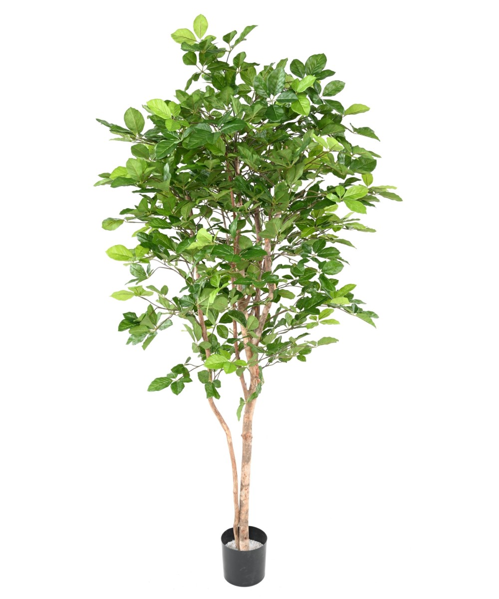 Artificial Beech GRANDIFOLIA 190