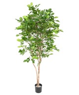 Kunstlik pöök GRANDIFOLIA 190
