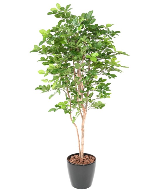 Kunstlik pöök GRANDIFOLIA 190